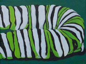 Larval Stripes, 12x16 acrylic