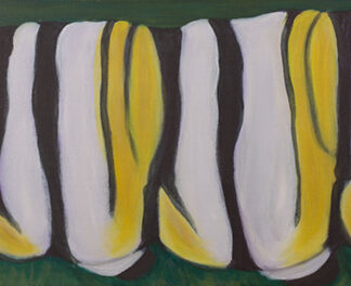 Monarch Caterpillar Stripes